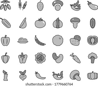 Thin line gray tint vector icon set - fried vegetables on sticks vector, onion, mushroom, porcini, cabbage, tomato, chili, peper, garlic, carrot, squash, mulberry, goji berry, sweet date fruit, half