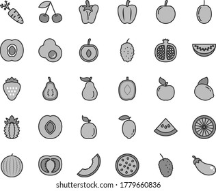 Thin line gray tint vector icon set - peper vector, fried egg, strawberry, cherry, half apricot, pomegranate, plum, mulberry, tasty, water melon, slice of, delicious, passion fruit, lemon, yellow