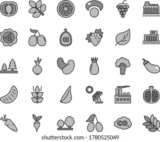 Thin line gray tint vector icon set - beet vector, garlic, carrot, mint, half pomegranate, branch of grape, large, squash, rose hip, cornels, tasty, slice tangerine, loquat, juicy lemon, tomato