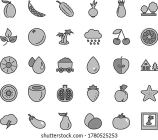 Thin line gray tint vector icon set - rainy cloud vector, drop, storm, eggs, tomato, beet, orange, cherry, peach, half pomegranate, tasty apple, raspberry, rose hip, loquat, juicy lemon, of kiwi