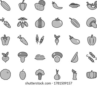 Thin line gray tint vector icon set - fried vegetables on sticks vector, onion, slices of, mushroom, porcini, meat skewers, cabbage, cucumber, tomato, chili, peper, garlic, carrot, mulberry, ripe