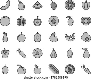 Thin line gray tint vector icon set - Hot Dog vector, chili, peper, carrot, fried egg, ripe peach, half pomegranate, apricot, plum, rose hip, mulberry, tasty, slice of melon, delicious, cherry, part