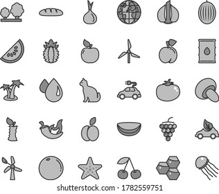 Thin line gray tint vector icon set - loaf vector, porcini, tomato, chili, apple, honeycombs, cherry, peach, large grape, apricot, melon, slice of water, piece coconut, ripe pineapple, grapefruit