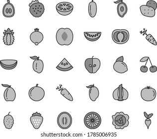 Thin line gray tint vector icon set - carrot vector, strawberry, strawberries, cherry, squash, tasty apple, medlar, mulberry, mango, half of, loquat, peach, melon, water slice, date fruit, tangerine