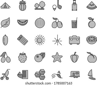 Thin line gray tint vector icon set - summer stroller vector, suitcase, a glass of soda, blueberries, honeycombs, ripe peach, cornels, blackberry, blueberry, tasty, water melon, slice, date fruit