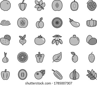 Thin line gray tint vector icon set - eggs vector, onion, cabbage, tomato, peper, blueberries, strawberries, apple, half apricot, pomegranate, mulberry, goji berry, delicious plum, peach, melon