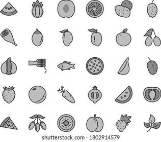 Thin line gray tint vector icon set - piece of pizza vector, noodles, grill chicken leg, garlic, carrot, fish, orange slice, apple, grape, cornels, half medlar, tasty raspberry, mulberry, mango