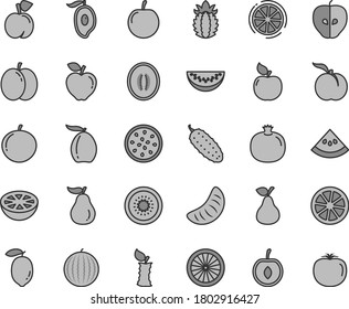 Thin line gray tint vector icon set - cucumber vector, pear, peach, ripe, apple, pomegranate, apricot, red, tasty, water melon, half of mango, loquat, slice, tangerine, plum, cherry, lemon, juicy