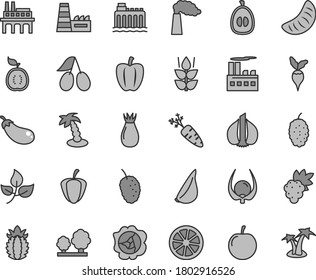 Thin line gray tint vector icon set - garlic vector, mint, grape, squash, rose hip, cornels, mulberry, tasty, slice of tangerine, half loquat, plum, juicy lemon, guawa, ripe pineapple, physalis