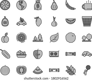 Thin line gray tint vector icon set - wicker pot vector, construction level, building, lettuce in a plate, cabbage, cup of tea, apple, tasty, water melon, mango, slice, half loquat, passion fruit