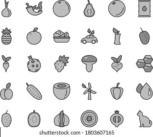 Juego de íconos vectores de tintes grises de línea delgada - vector de hongos, lechuga en un plato, pepino, chili, manzana, naranja, panecillos, uva, mitad de medallero, morera, sabroso, delicioso ciruela, kiwi, coco, stub