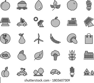Thin line gray tint vector icon set - saving light bulb vector, drop, porcini, cabbage, apple, pear, mint, tangerine, yellow lemon, delicious, peas, broccoli, big solar panel, leaves, leaf, windmill