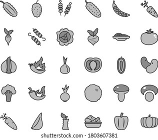 Thin line gray tint vector icon set - fried vegetables on sticks vector, slices of onion, mushroom, lettuce in a plate, meat skewers, cabbage, cucumber, tomato, chili, beet, garlic, carrot, squash