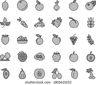 Thin line gray tint vector icon set - lettuce in a plate vector, beet, blueberries, strawberries, orange, mint, ripe peach, half apricot, branch of grape, large, red apple, cornels, blackberry, plum