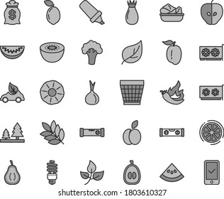 Thin line gray tint vector icon set - wicker pot vector, construction level, building, lettuce in a plate, apple, tasty, rose hip, water melon slice, half loquat, ripe plum, kiwi, sour lime, onion