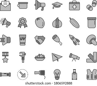 Thin line gray tint vector icon set - paper airplane vector, first aid kit, children's potty, child shoes, color samples, construction level, received letter, bulb, no sound, megaphone, noodles, jam