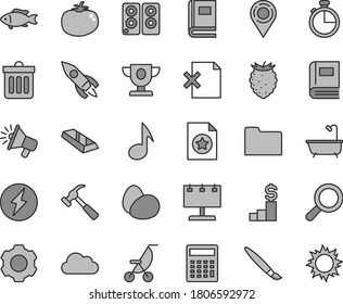 Thin line gray tint vector icon set - tassel vector, magnifier, calculator, summer stroller, bath, hammer with claw, dust bin, timer, delete page, eggs, tomato, fish, tasty raspberry, location, note