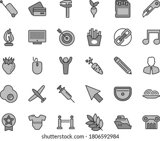 Thin line gray tint vector icon set - graphite pencil vector, spectacles, t short, sink, stationery knife, employee, screen, onion, French fries, fried egg, strawberry, carrot, radish, calipers