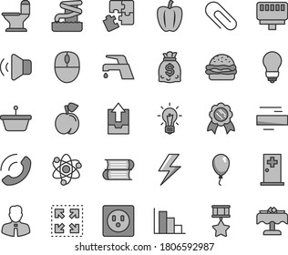 Thin line gray tint vector icon set - lightning vector, clip, minus, positive histogram, upload archive data, balloon, Puzzles, books, comfortable toilet, bulb, faucet mixer, employee, volume, size