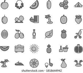 Thin line gray tint vector icon set - summer stroller vector, toy sand set, suitcase, bottle of soda, a pineapple, pear, honeycombs, half pomegranate, strawberry, tasty cornels, melon, slice water