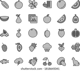 Thin line gray tint vector icon set - cloud vector, picture, storm, porcini, beet, fish, pear, orange slice, honeycombs, cherry, half pomegranate, grape, branch of, tasty raspberry, mulberry, mango
