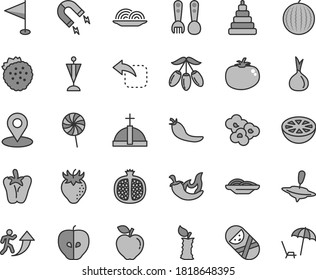 Thin line gray tint vector icon set - pennant vector, stacking toy, tumbler, plastic fork spoons, small yule, move left, onion, slices of, tomato, chili, peper, lollipop, popcorn, strawberries, stub