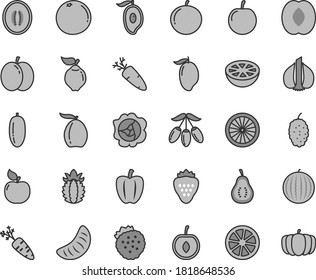 Thin line gray tint vector icon set - carrot vector, strawberry, strawberries, apple, squash, quince, apricot, mulberry, water melon, mango, half of, loquat, goji berry, peach, date fruit, tangerine