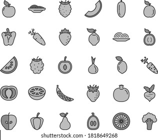 Thin line gray tint vector icon set - onion vector, slices of, peper, carrot, pear, pomegranate, quince, apricot, tasty apple, raspberry, strawberry, blackberry, slice melon, water, date fruit, beet