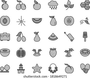 Thin line gray tint vector icon set - rainy cloud vector, suitcase, popsicle, pear, honeycombs, ripe peach, half apricot, pomegranate, plum, cornels, tasty raspberry, blueberry, water melon slice