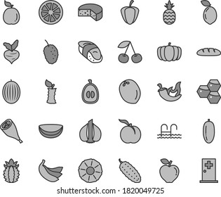Thin line gray tint vector icon set - cheese vector, loaf, grill chicken leg, cucumber, chili, sushi, a pineapple, honeycombs, cherry, ripe peach, red apple, tasty mulberry, melon, date fruit, guava