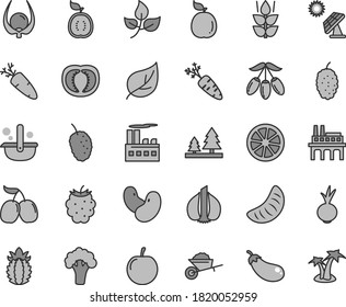 Thin line gray tint vector icon set - garden trolley vector, beet, carrot, mint, blackberry, mulberry, tasty, cornels, goji berry, slice of tangerine, plum, juicy lemon, guava, half guawa, physalis