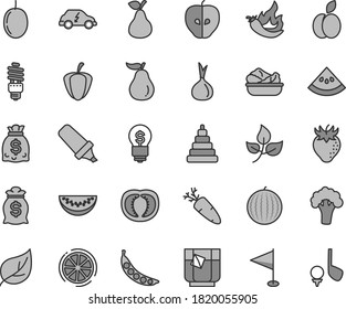 Thin line gray tint vector icon set - pennant vector, stacking toy, lettuce in a plate, carrot, glass of tea, apple, pear, tasty, strawberry, water melon, slice, passion fruit, lemon, ripe guava