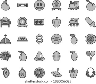 Thin line gray tint vector icon set - baby toy train vector, children's, yule, colored air balloons, concrete mixer, building level, peper, ripe peach, squash, quince, melon, half of mango, loquat