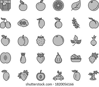 Thin line gray tint vector icon set - lettuce in a plate vector, beet, glass of tea, orange, ripe peach, apple, grape, branch, apricot, red, strawberry, rose hip, blackberry, blueberry, mango, half