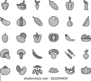 Thin line gray tint vector icon set - onion vector, porcini, lettuce in a plate, meat on skewers, cabbage, cucumber, tomato, chili, peper, beet, garlic, mulberry, goji berry, apple stub, half, ripe