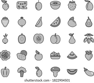 Thin line gray tint vector icon set - piece of cheese vector, mushroom, lettuce in a plate, beet, garlic, strawberry, pear, orange slice, apple, half apricot, squash, quince, medlar, blackberry