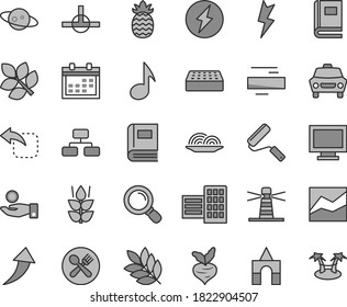 Thin line gray tint vector icon set - monitor window vector, calendar, minus, line chart, box of bricks, new roller, city block, brick, lightning, car, flowchart, move left, onion, mint, pineapple