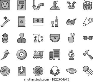 Thin Line Gray Tint Vector Icon Set - Camera Vector, Download Archive Data, Toys Over The Cradle, Open Pin, Drum, Sink, Sewerage, Buildings, Dangers, Temperature, Hammer With Claw, Chicken, Chop