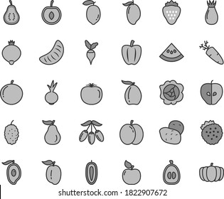 Thin line gray tint vector icon set - beet vector, carrot, strawberry, strawberries, apple, squash, apricot, tasty, rose hip, medlar, mulberry, mango, half of, loquat, goji berry, tangerine, slice