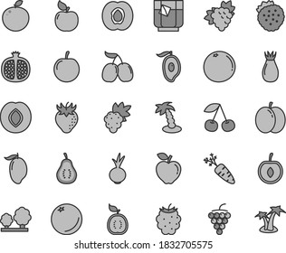 Thin line gray tint vector icon set - beet vector, a glass of tea, strawberries, orange, cherry, apple, half apricot, pomegranate, grape, branch, large, red, plum, strawberry, rose hip, blackberry
