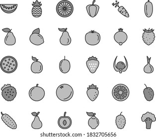 Thin line gray tint vector icon set - cucumber vector, strawberry, strawberries, pear, orange, quince, raspberry, medlar, tasty, mulberry, water melon slice, date fruit, tangerine, half cherry, of