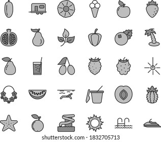 Thin line gray tint vector icon set - children's sand set vector, a glass of soda, cone, blueberries, half pomegranate, pear, apricot, plum, raspberry, cornels, blackberry, tasty, blueberry, guava