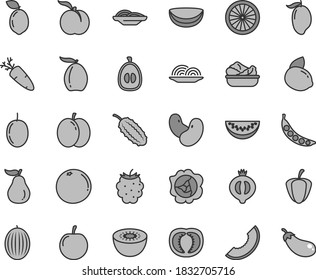 Juego de iconos vectoriales de tono gris de línea delgada - vector de cebolla, rodajas de, lechuga en un plato, zanahoria, melocotón, manzana, calabaza, media medallera, morera, melón, rodaja, mango, loquat, agua, ciruela sabrosa, kiwi