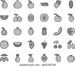 Thin line gray tint vector icon set - cake slice vector, pear, cherry, ripe peach, half apricot, pomegranate, grape, large, quince, tasty apple, rose hip, cornels, fig, of medlar, melon, mango, plum