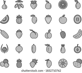 Thin line gray tint vector icon set - cucumber vector, strawberry, apple, ripe peach, grape, raspberry, rose hip, medlar, blueberries, tasty mulberry, slice of water melon, mango, goji berry, half