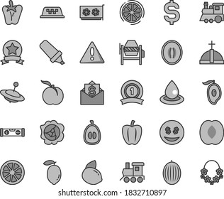Thin line gray tint vector icon set - warning vector, baby toy train, children's, yule, concrete mixer, building level, peper, ripe peach, squash, melon, half of mango, loquat, lemon, yellow, juicy