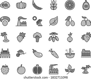 Thin line gray tint vector icon set - garden trolley vector, beet, carrot, mint, half pomegranate, grape, branch of, cornels, blackberry, tasty, goji berry, loquat, plum, juicy lemon, peas, mashroom