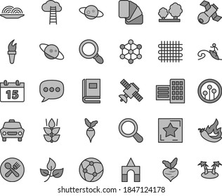 Thin line gray tint vector icon set - box of bricks vector, sample colour, city block, calendar, car, onion, mint, hot pepper, beet, radish, leaves, trees, weaving, speech, network, magnifier, zoom