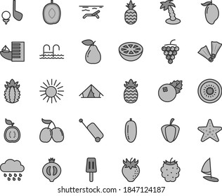 Thin line gray tint vector icon set - rainy cloud vector, popsicle, blueberries, a pineapple, large grape, pear, strawberry, half of medlar, blackberry, tasty cornels, mango, delicious plum, kiwi