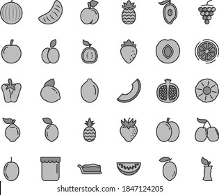 Thin line gray tint vector icon set - cake slice vector, peper, jam, a pineapple, apple, peach, half pomegranate, large grape, quince, plum, raspberry, strawberry, tasty cornels, water melon, of